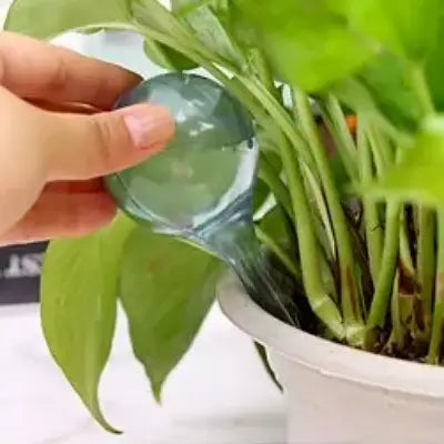 Arrosage goutte à goutte - PlantWaterFeeder™ - Transparent