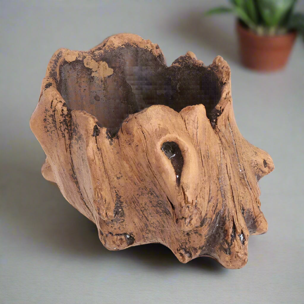 Pot de fleur | WoodenStumpFlowerPot™