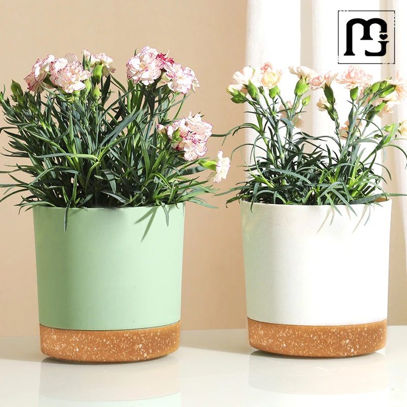 Pot De Fleur | MixedColorsFlowerPot™