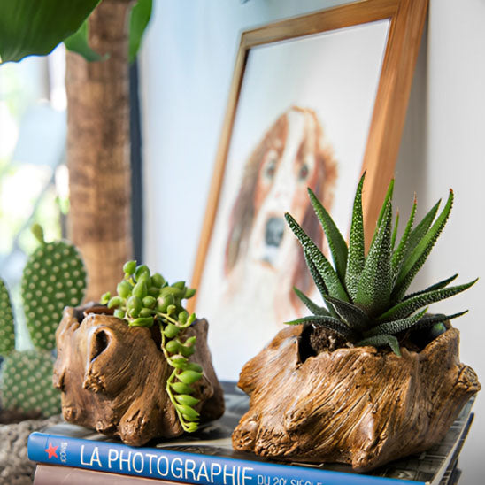 Pot de fleur | WoodenStumpFlowerPot™