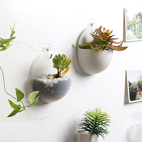 Pot de fleur | WallHangingFlowerPot™