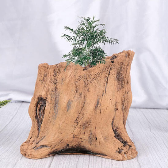 Pot de fleur | WoodenStumpFlowerPot™